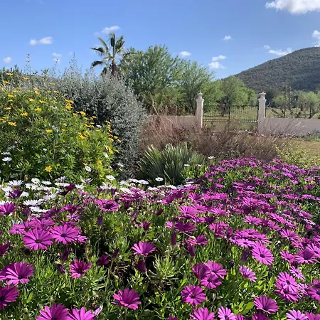 Villa Casa Do Pomar By Portucasa *